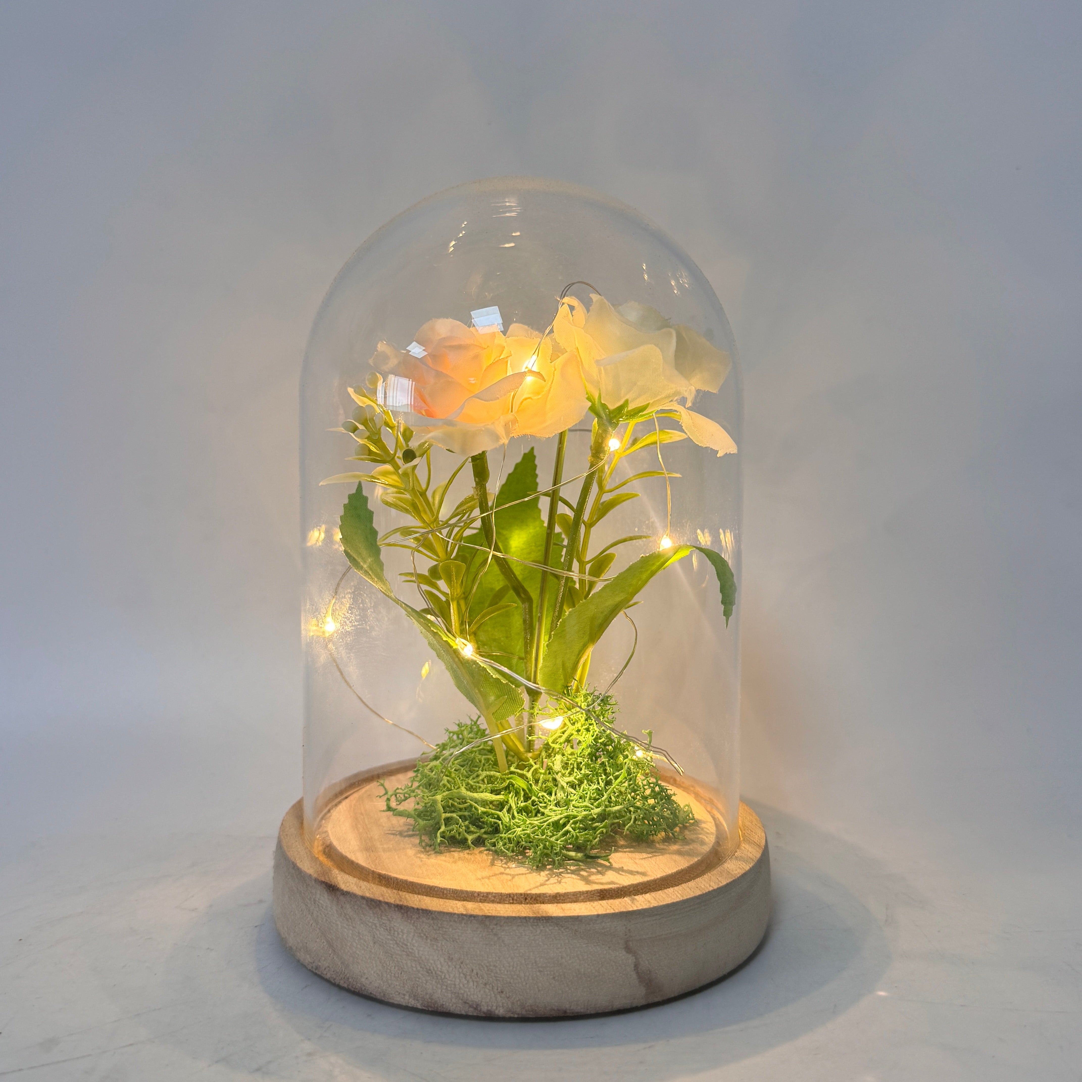 Soft Rose LED Glass Dome Night Lamp – Romantic Floral Decor
