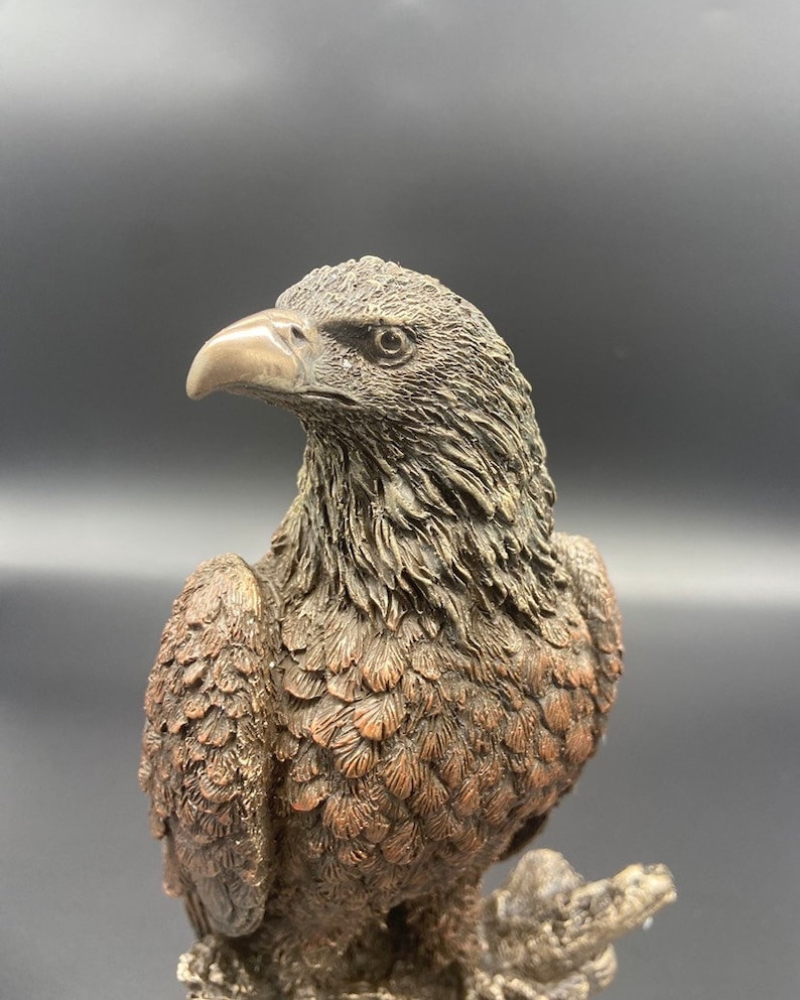 Eagle Bronze Sculpture Gift Statue