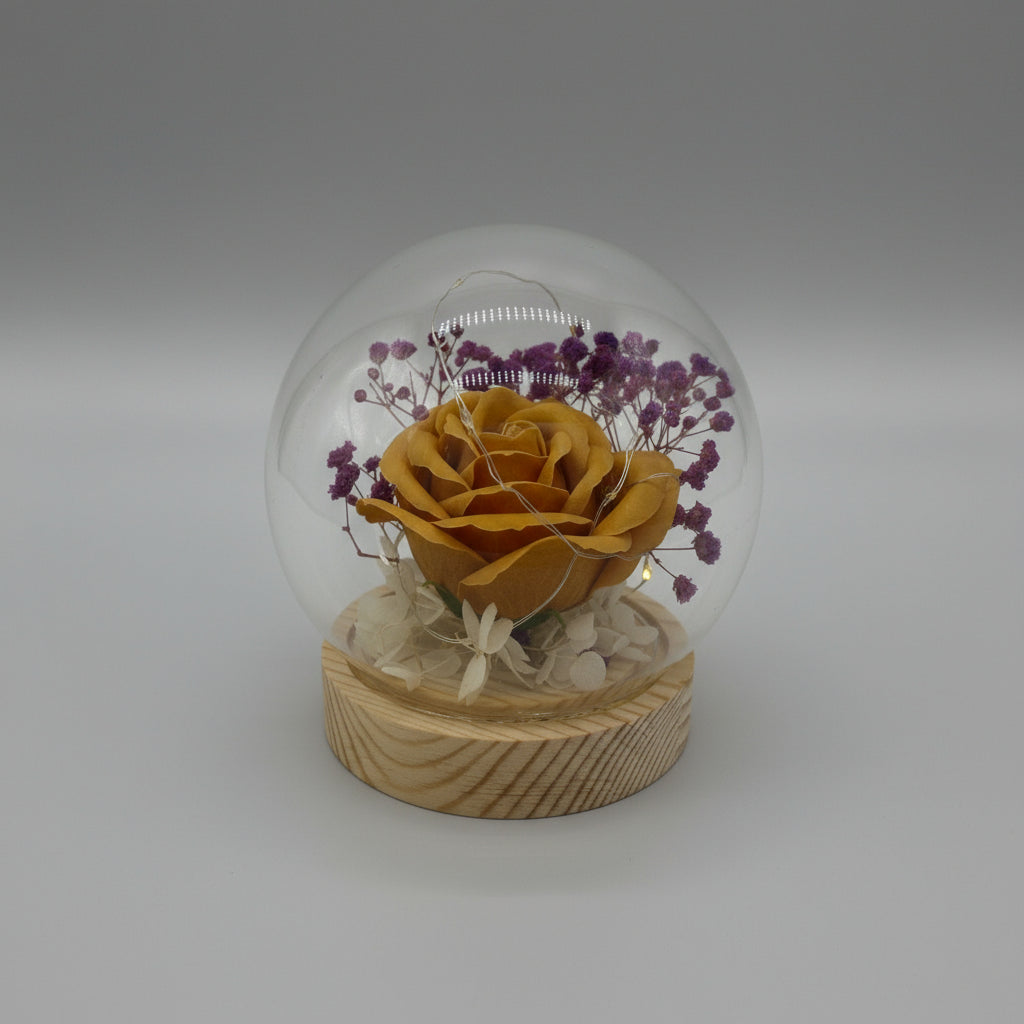 Glass Rose Globe with LED Light