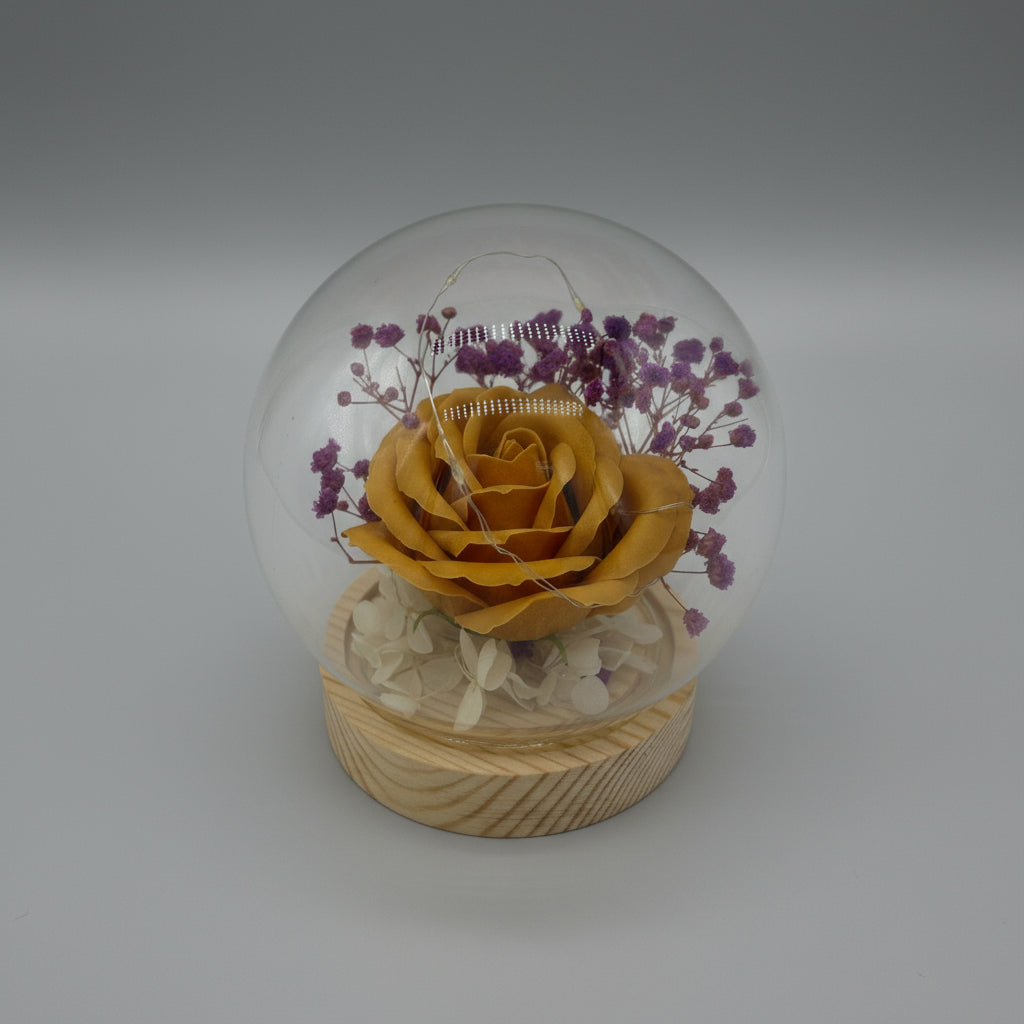 Glass Rose Globe with LED Light